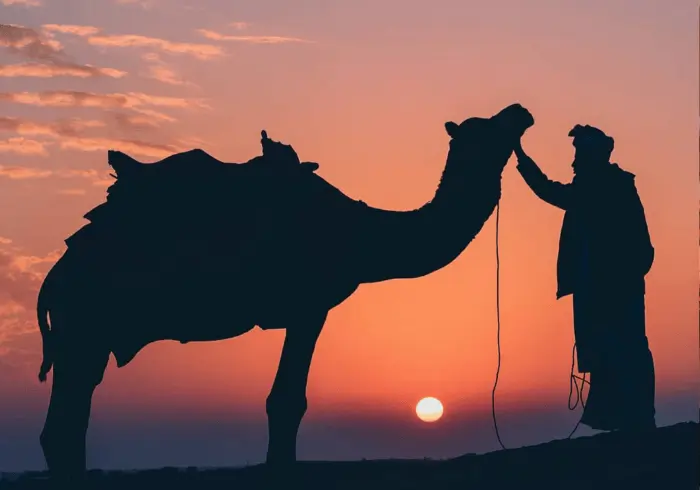 Arab z wielbłądem na pustyni, na tle zachodzącego słońca - kierunek wschód, język arabski